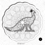 book 3 copy new test 2