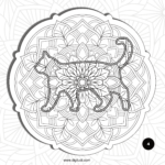 book 3 copy new test 4