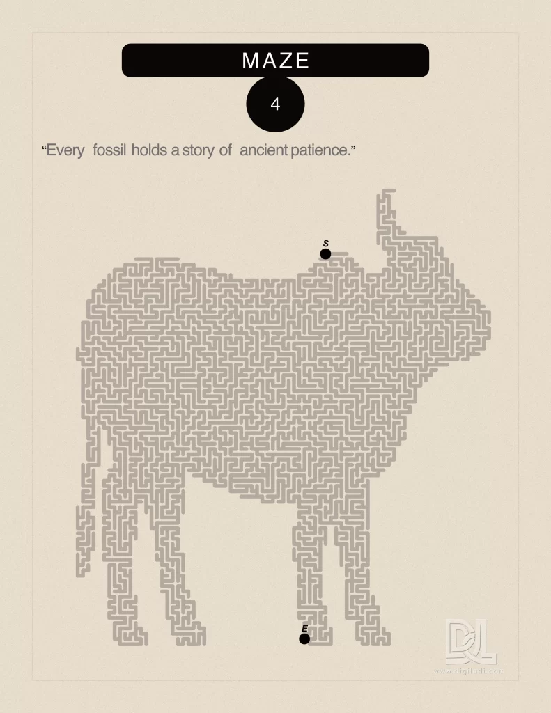 animal path hard 1