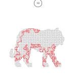 animal path hard 6