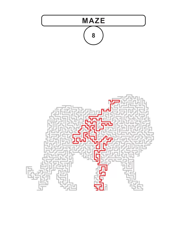 animal path medium 4