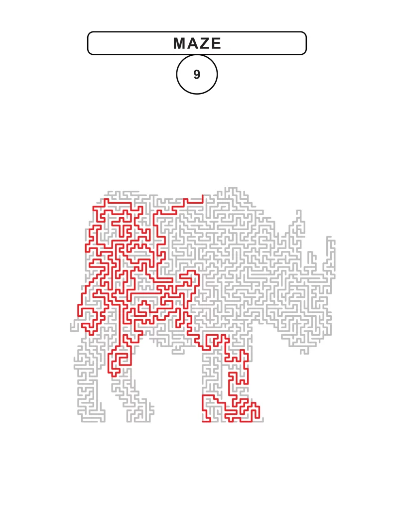 animal path medium 5