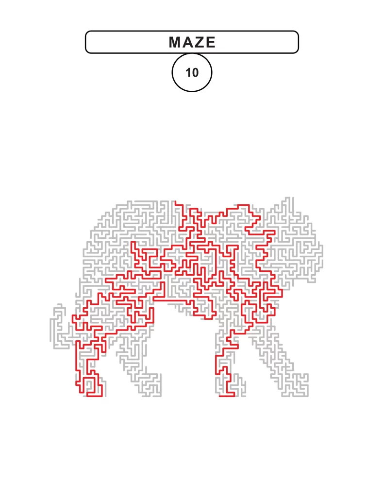 animal path medium 6