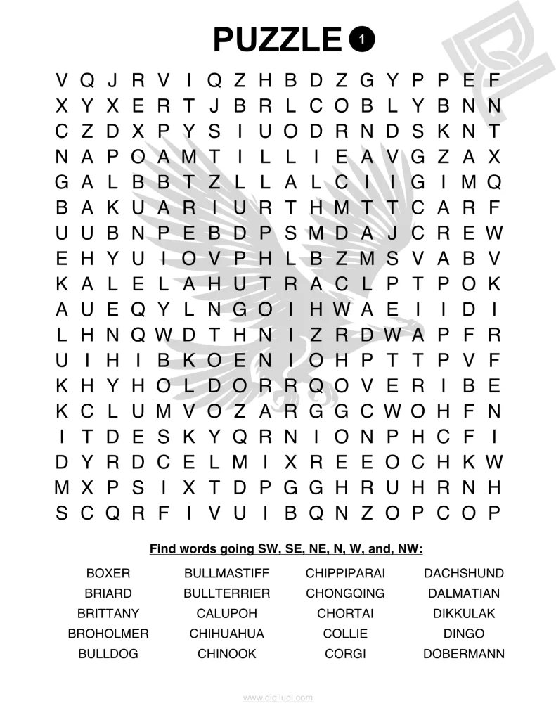 puzzles 9 1