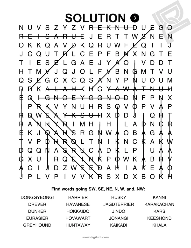 puzzles 9 2