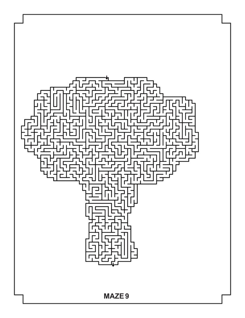 shaped book 1 4